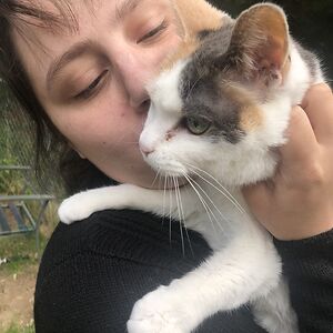 jessicawennekamp avatar