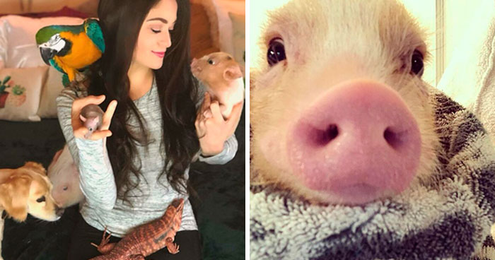 Woman Takes In Neglected Animals No One Wants, No Matter Their Species, And Has Already Saved Nearly 200