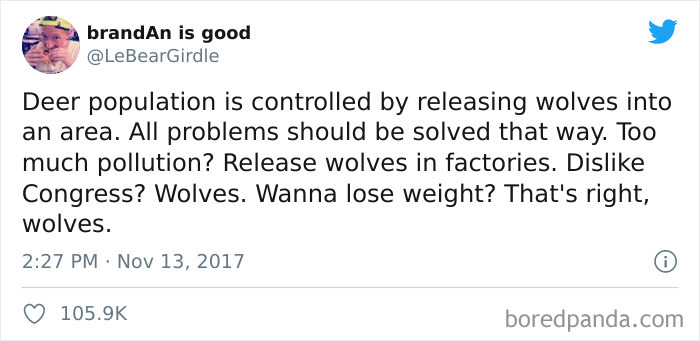 He's Right Wolv- Wait What The