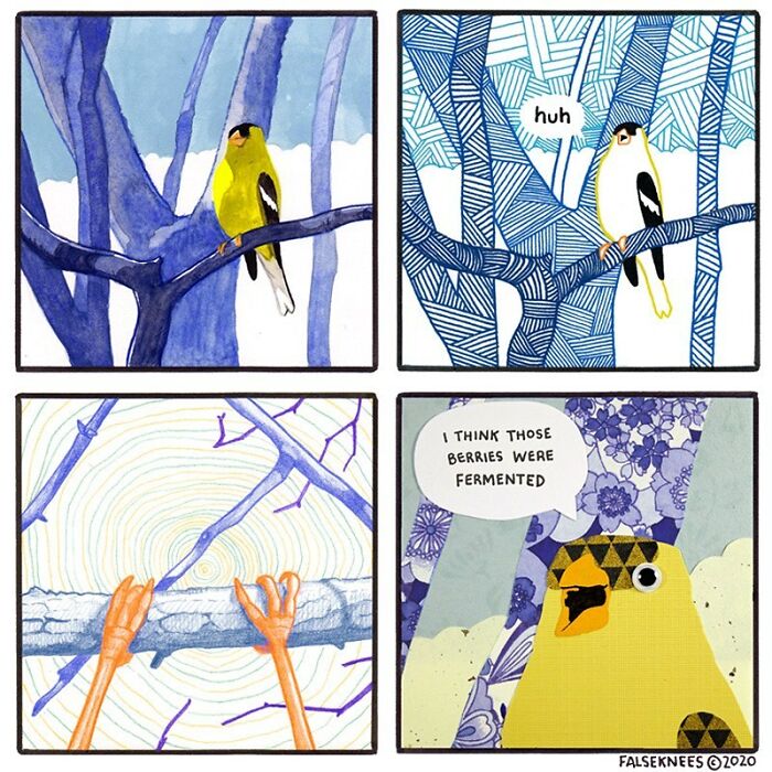 Animals-Birds-Comics-False-Knees