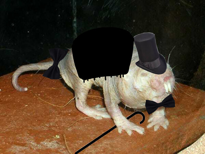 Make Him Handsome >:}