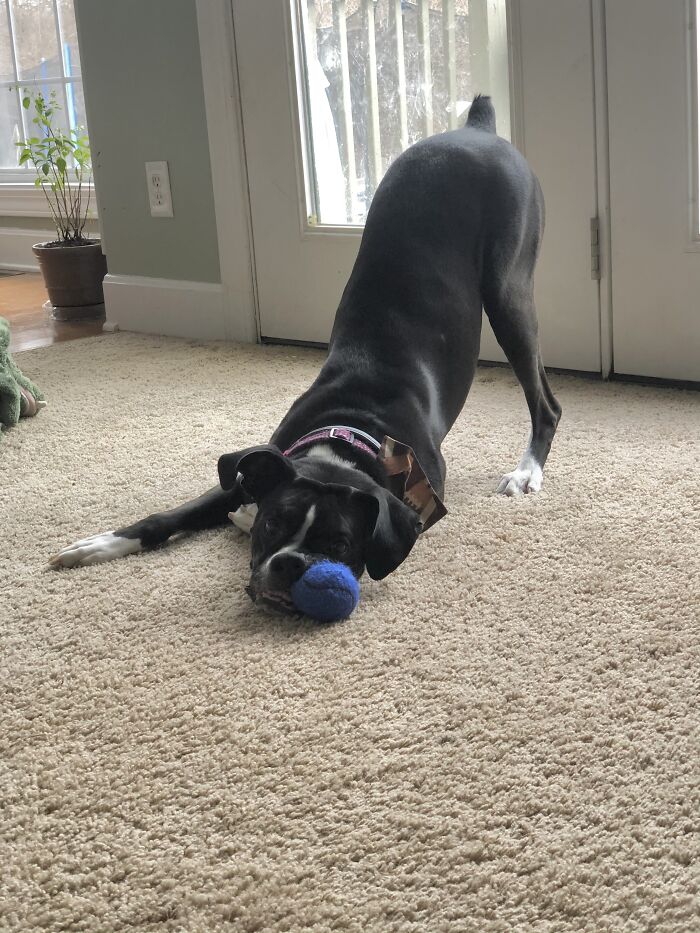 Butt In The Air, Like You Just Don’t Care!!!