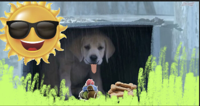 I Mean... Dogs Ain’t Fussy