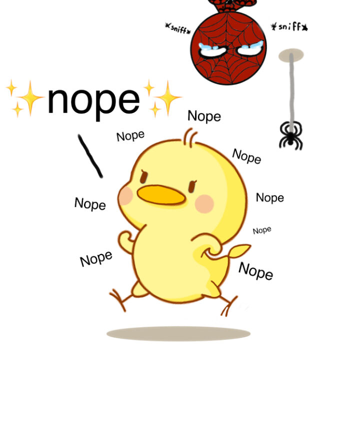 Walking Away From The Spider On The Wall Be Like 😂