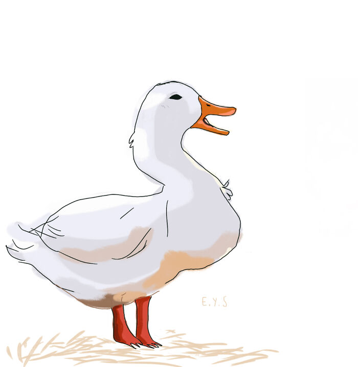 Happy Duck