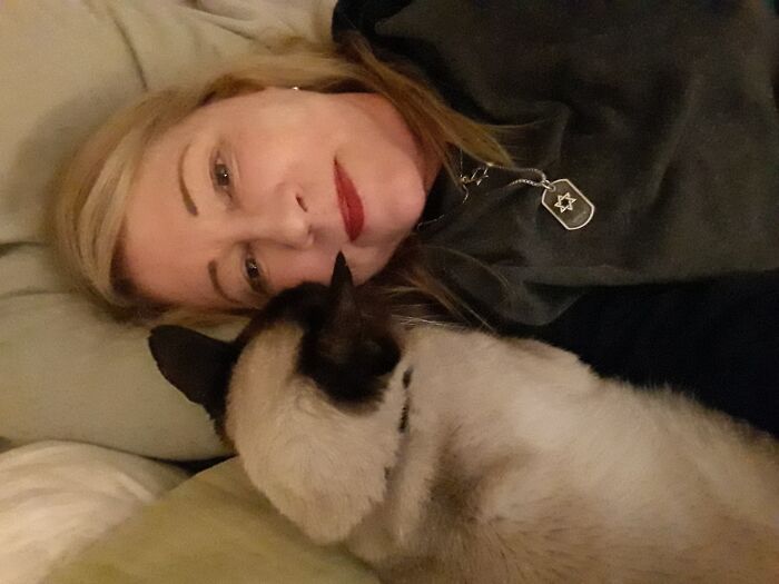 He’s 15 And A Velcro Meezer Chocolate Point