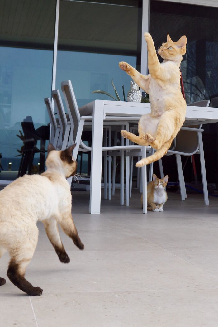 Flying Whiskey Tango