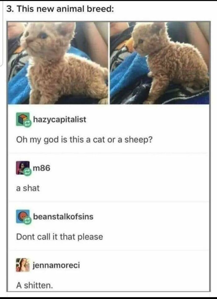 I Giggle Every Time I Think About This