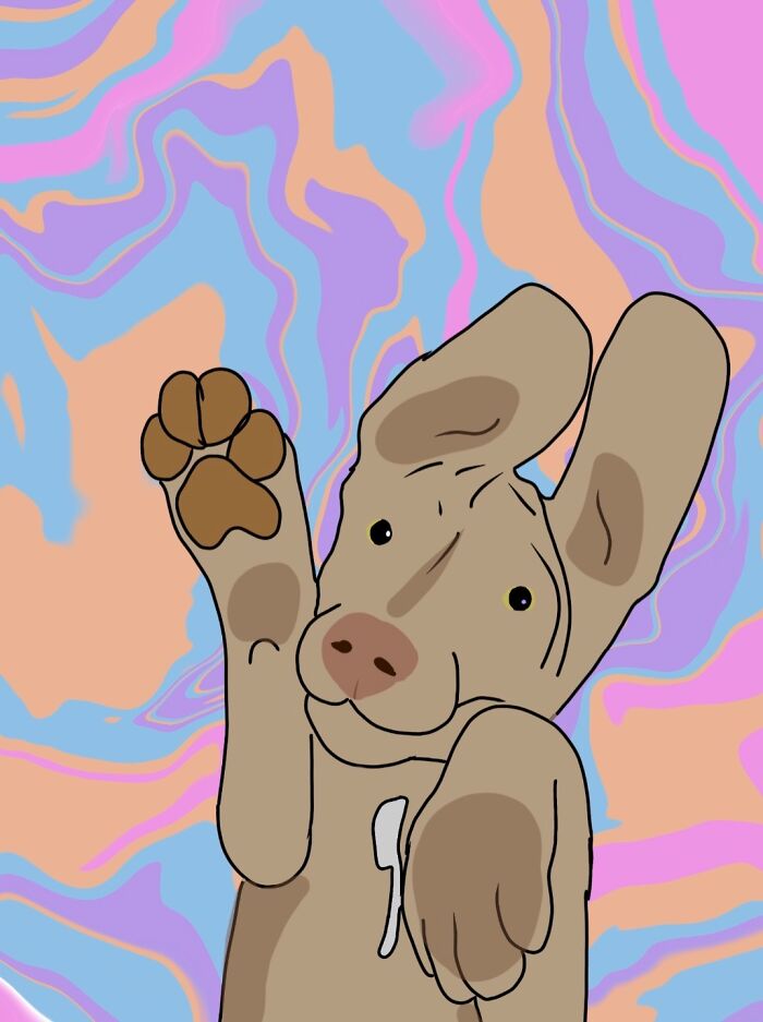 I Drew My Dog When She Was A Puppy A Few Years Ago