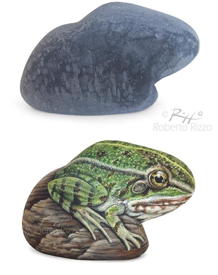 Hand-Painted-Rocks-Stone-Art-Animals-Robertorizzoart