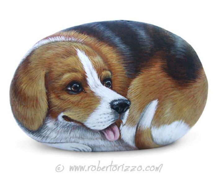 Hand-Painted-Rocks-Stone-Art-Animals-Robertorizzoart