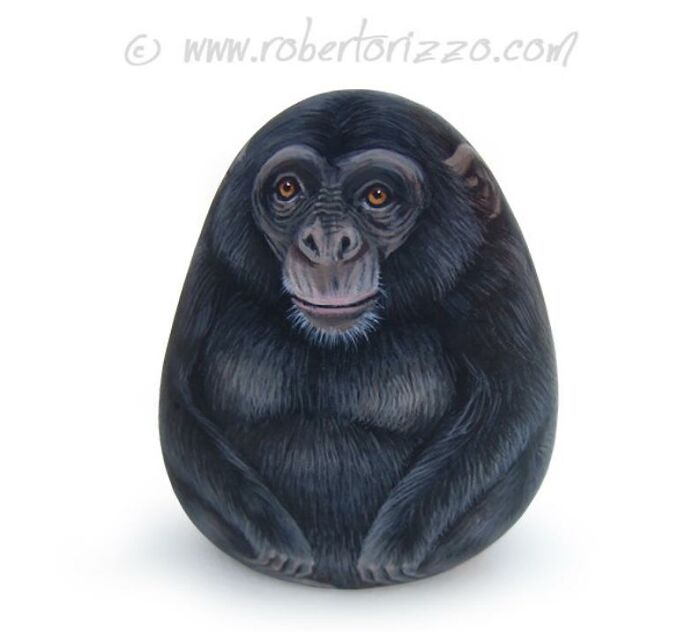 Hand-Painted-Rocks-Stone-Art-Animals-Robertorizzoart