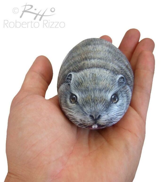 Hand-Painted-Rocks-Stone-Art-Animals-Robertorizzoart