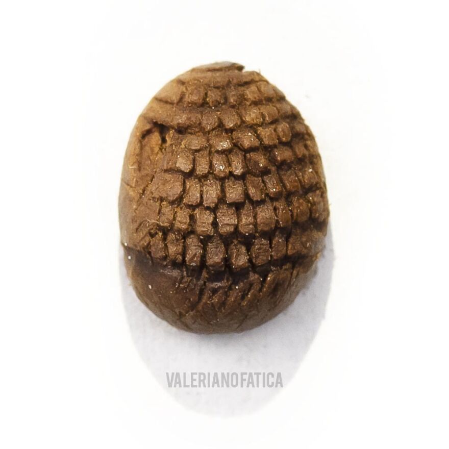 Dragon Egg – Coffee Bean