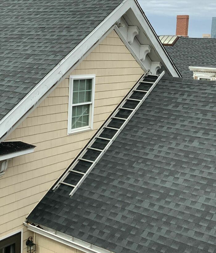 Where Are You Going With This One??