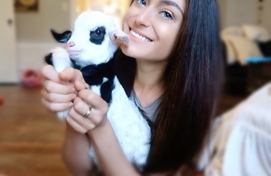 90-Rescue-Animals-Adri-Rachelle