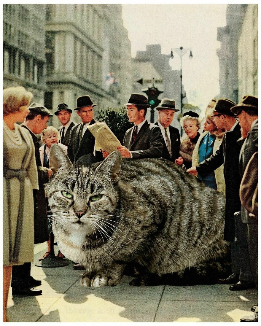 Artist Imagines The World With Giant Cats, And The Result Is Purrrfect
