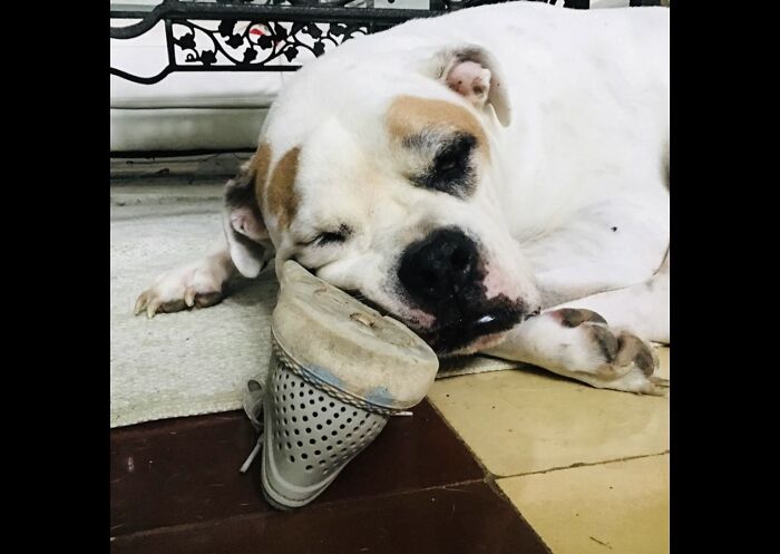 Found Him Like This A Few Months Ago