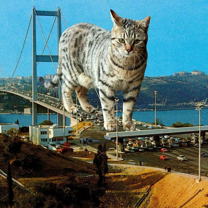 Artist Imagines The World With Giant Cats, And The Result Is Purrrfect