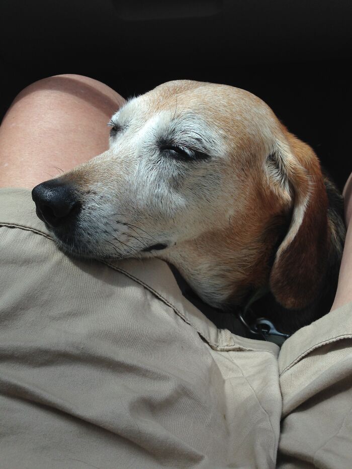 Here’s 12 Year-Old Sugar After A Long Day