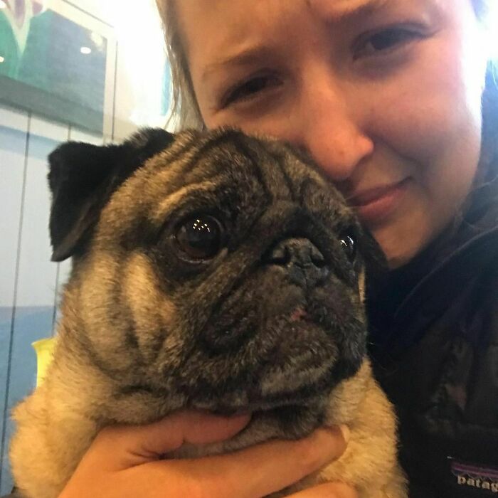 We Got Him. I’m Speechless. Shaking. Emotional