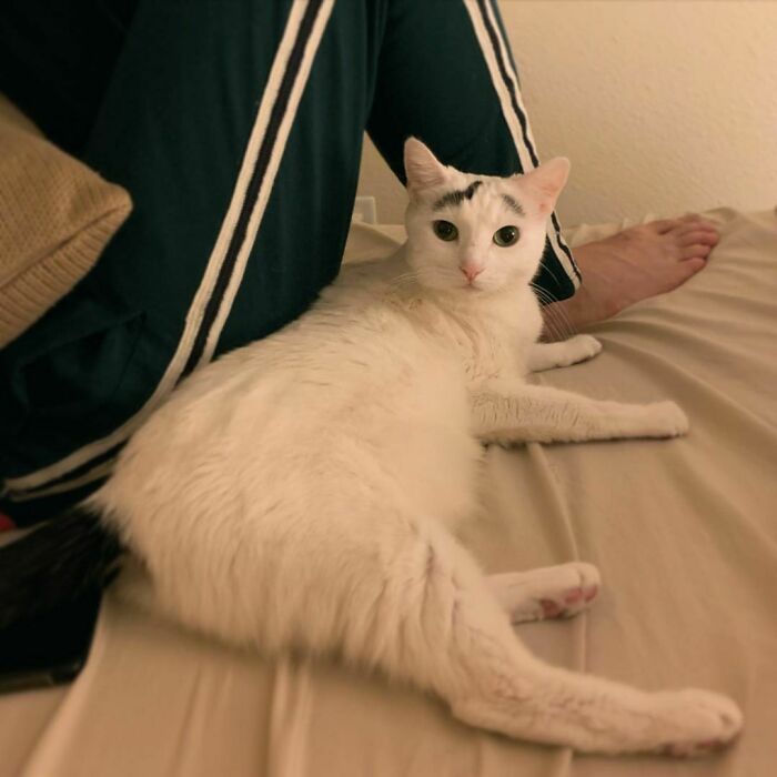 My Bed, My Man, I’m Not Movin'