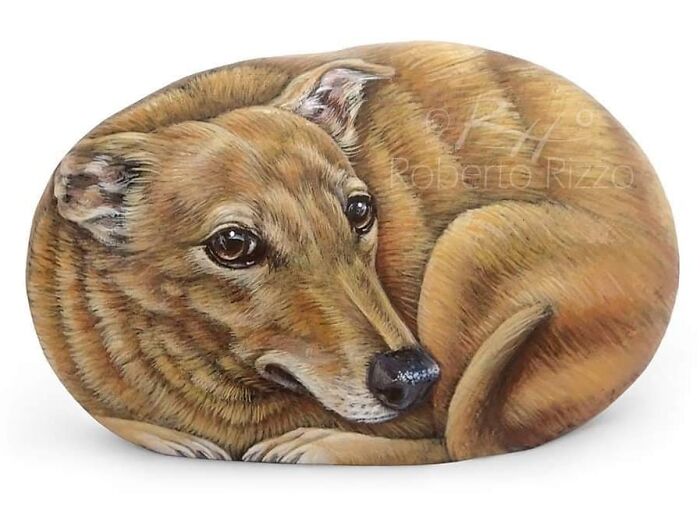 Hand-Painted-Rocks-Stone-Art-Animals-Robertorizzoart
