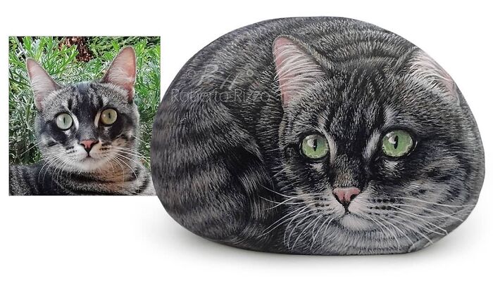 Hand-Painted-Rocks-Stone-Art-Animals-Robertorizzoart