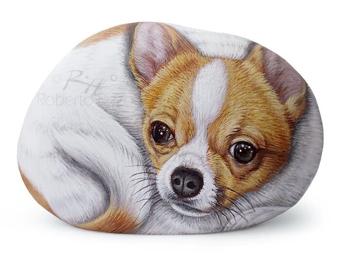 Hand-Painted-Rocks-Stone-Art-Animals-Robertorizzoart