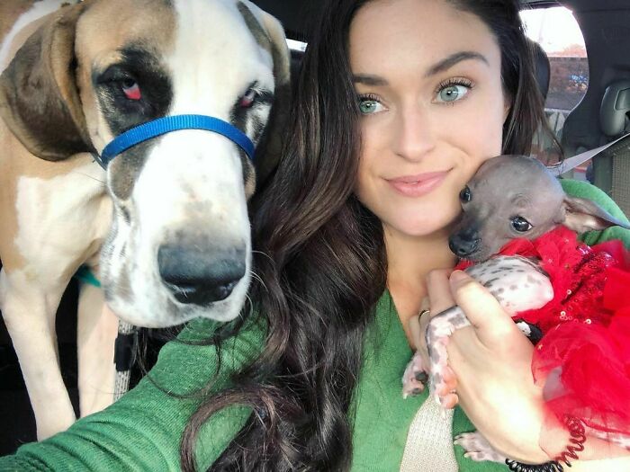 90-Rescue-Animals-Adri-Rachelle