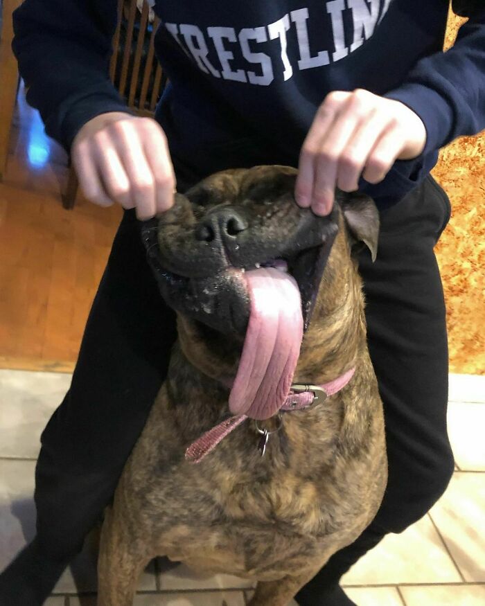 Tongue Mastiff Monster