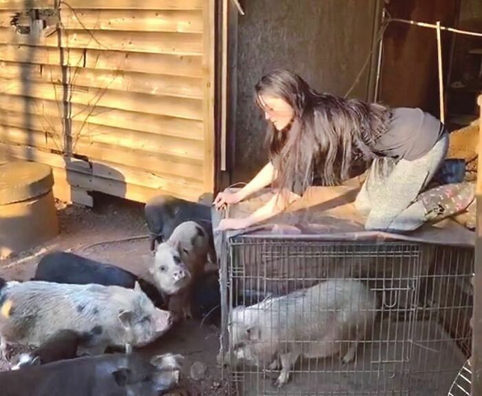 90-Rescue-Animals-Adri-Rachelle