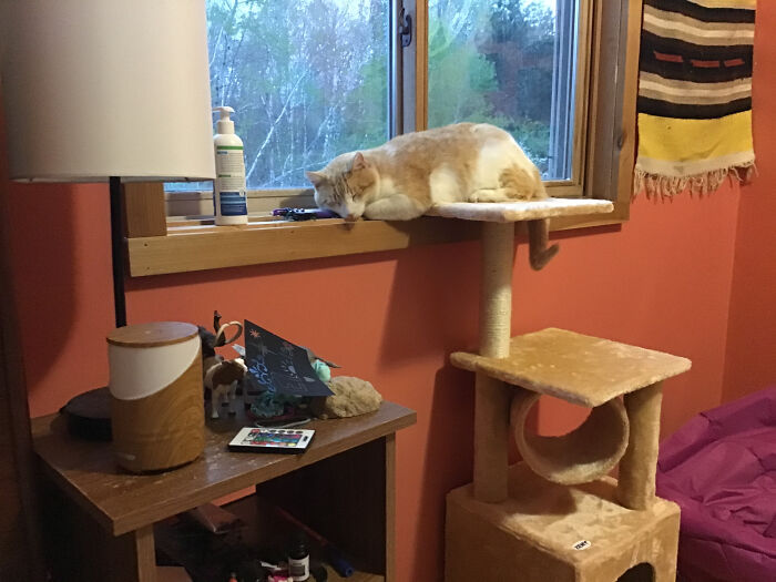 It’s My Baaaaaaaaaaaaby!