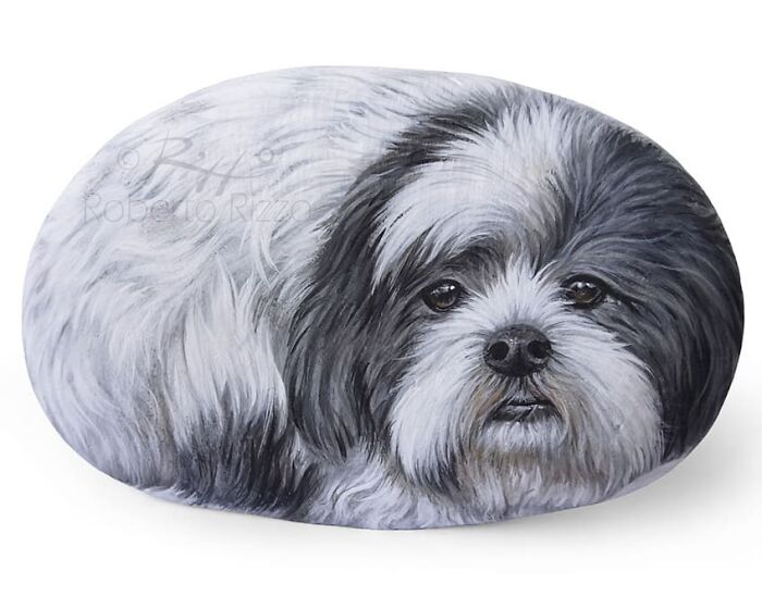 Hand-Painted-Rocks-Stone-Art-Animals-Robertorizzoart