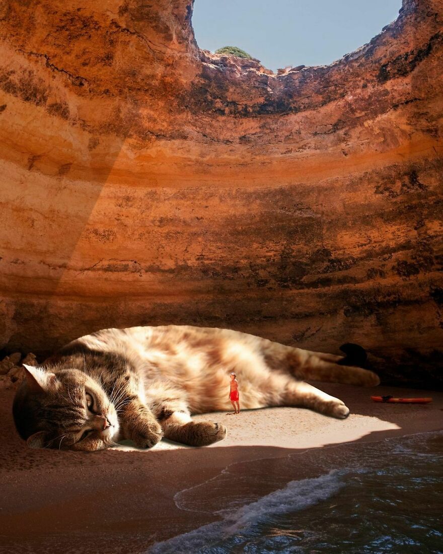 Artist Imagines The World With Giant Cats, And The Result Is Purrrfect