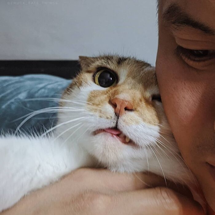 She Did Not Like Her Valentine