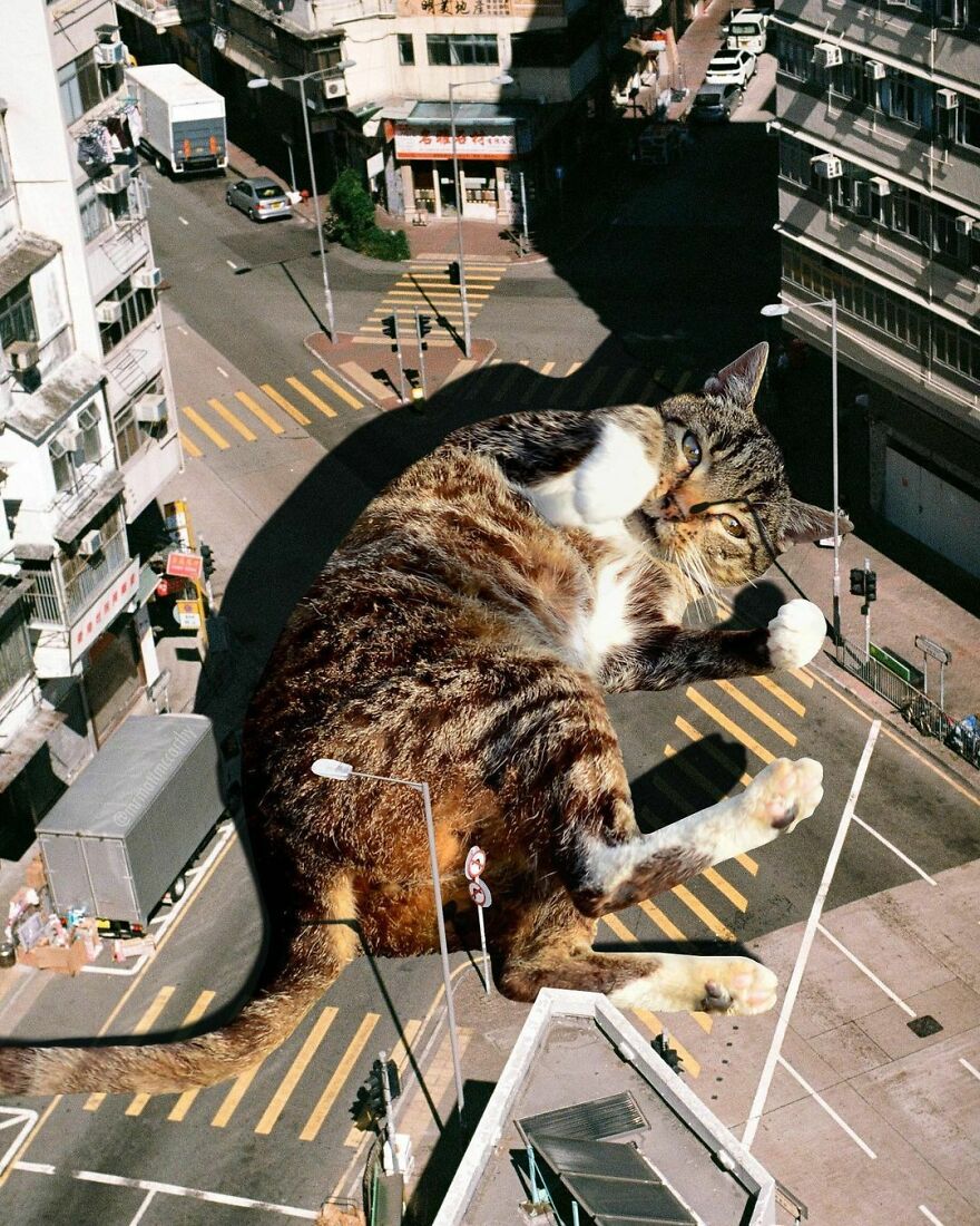 Artist Imagines The World With Giant Cats, And The Result Is Purrrfect