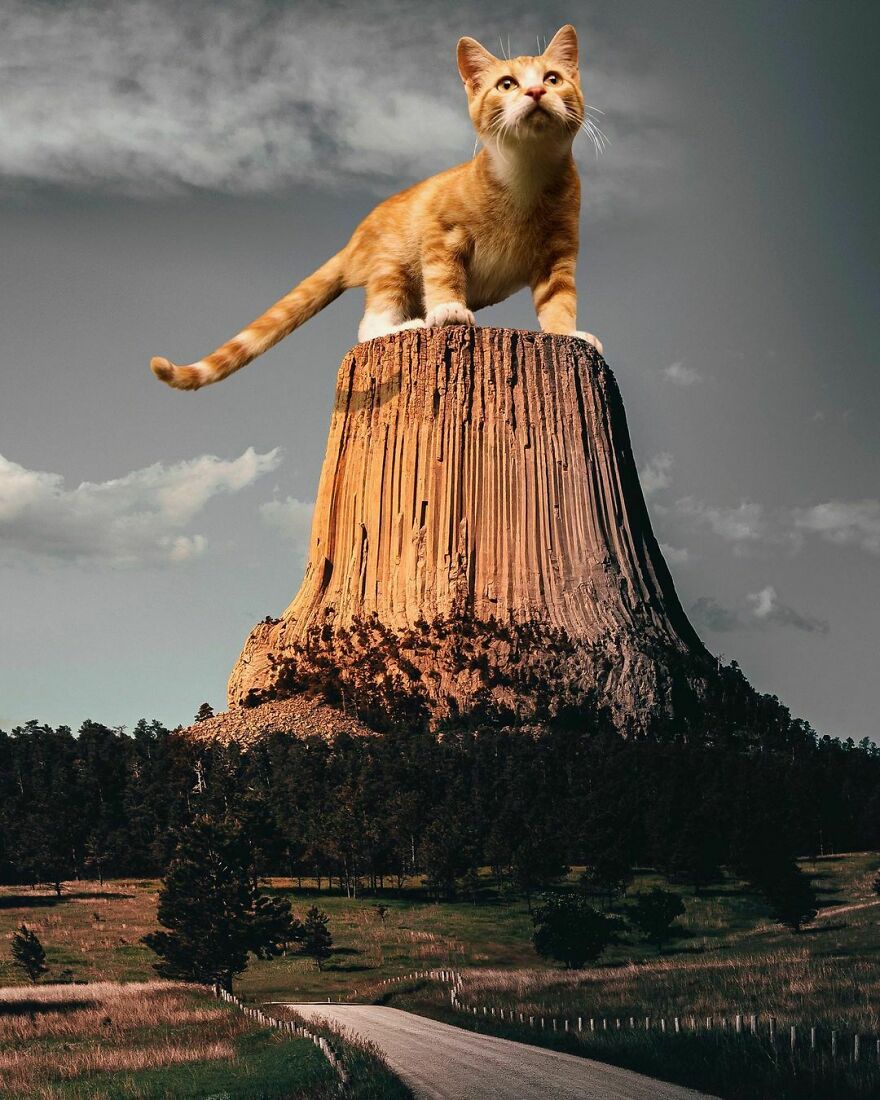 Artist Imagines The World With Giant Cats, And The Result Is Purrrfect