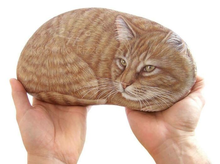 Hand-Painted-Rocks-Stone-Art-Animals-Robertorizzoart