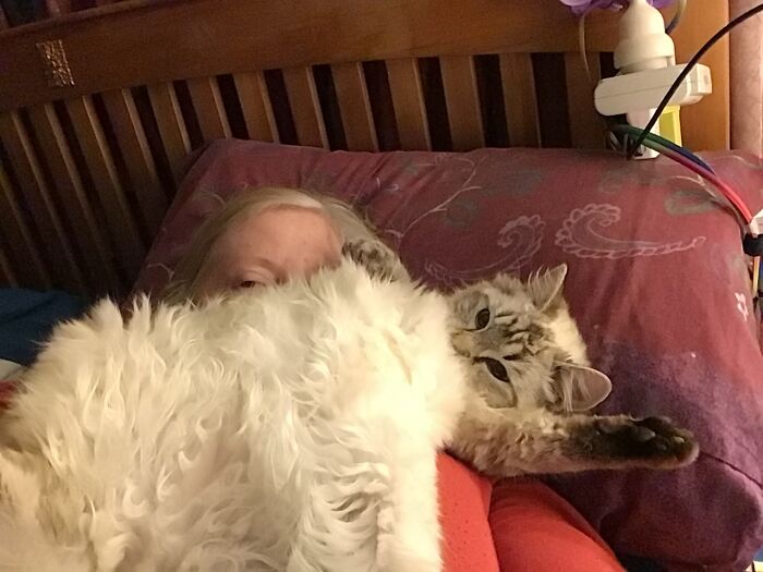 Nermal The Cuddleslut.