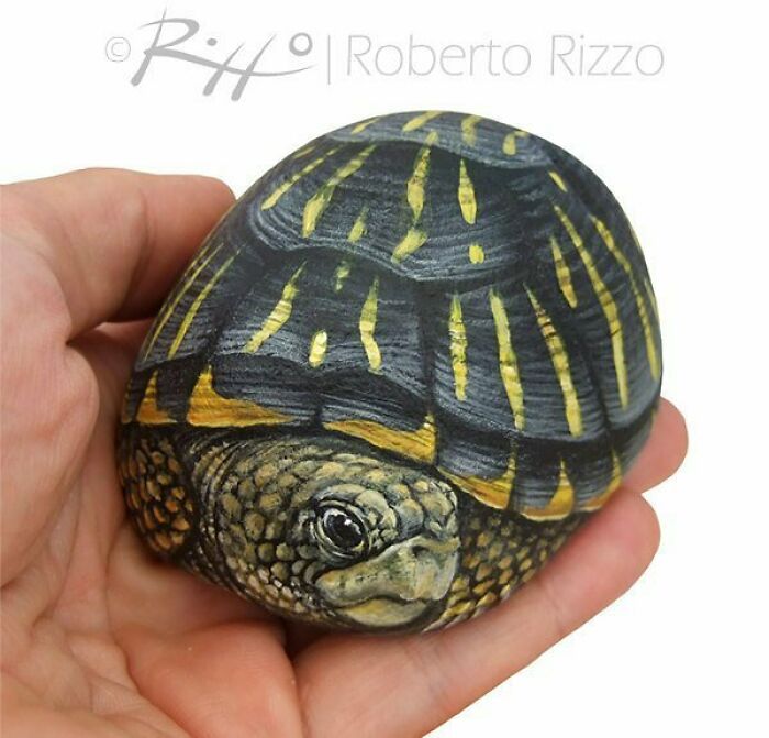 Hand-Painted-Rocks-Stone-Art-Animals-Robertorizzoart