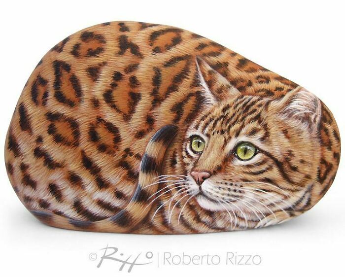 Hand-Painted-Rocks-Stone-Art-Animals-Robertorizzoart