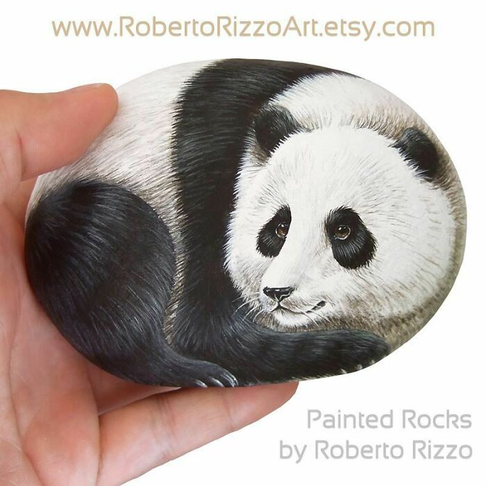 Hand-Painted-Rocks-Stone-Art-Animals-Robertorizzoart