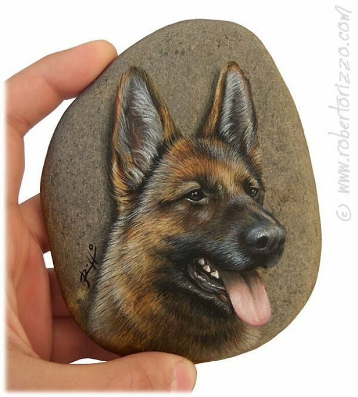 Hand-Painted-Rocks-Stone-Art-Animals-Robertorizzoart