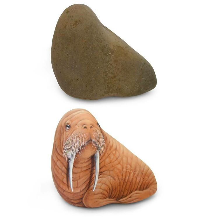 Hand-Painted-Rocks-Stone-Art-Animals-Robertorizzoart