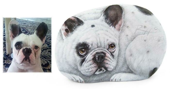 Hand-Painted-Rocks-Stone-Art-Animals-Robertorizzoart