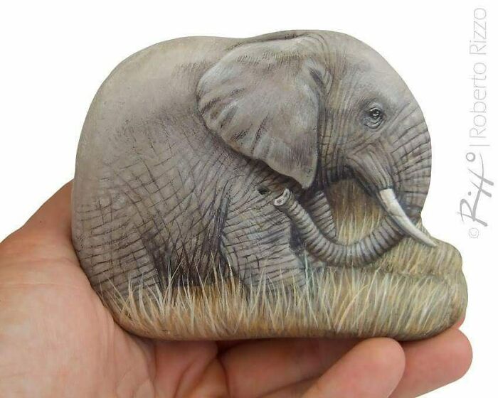Hand-Painted-Rocks-Stone-Art-Animals-Robertorizzoart