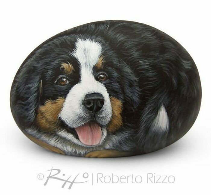 Hand-Painted-Rocks-Stone-Art-Animals-Robertorizzoart