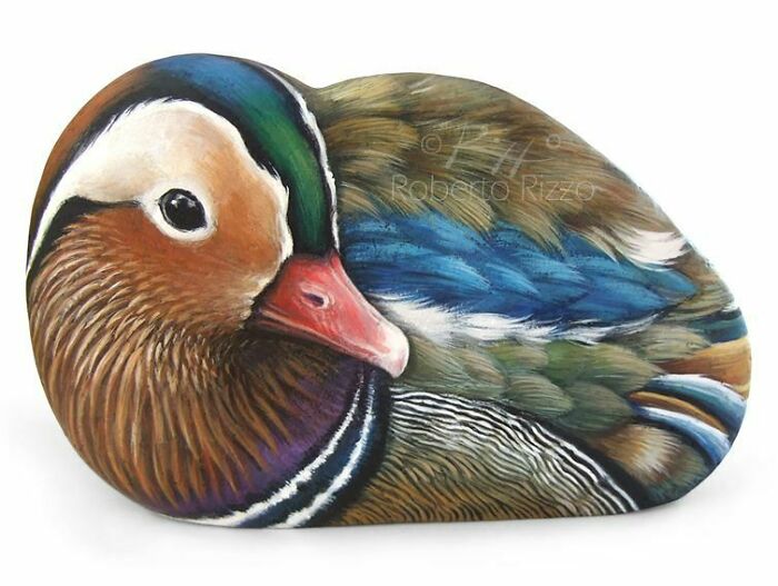 Hand-Painted-Rocks-Stone-Art-Animals-Robertorizzoart