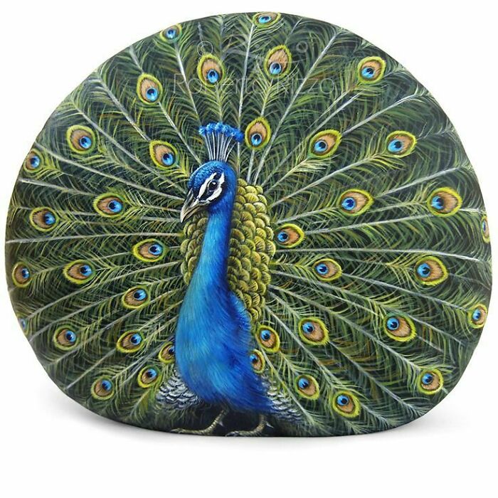 Hand-Painted-Rocks-Stone-Art-Animals-Robertorizzoart